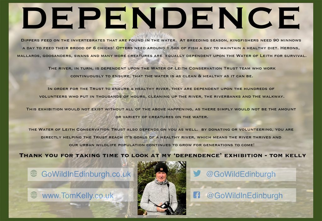 wildlife photography exhibition by Tom Kelly